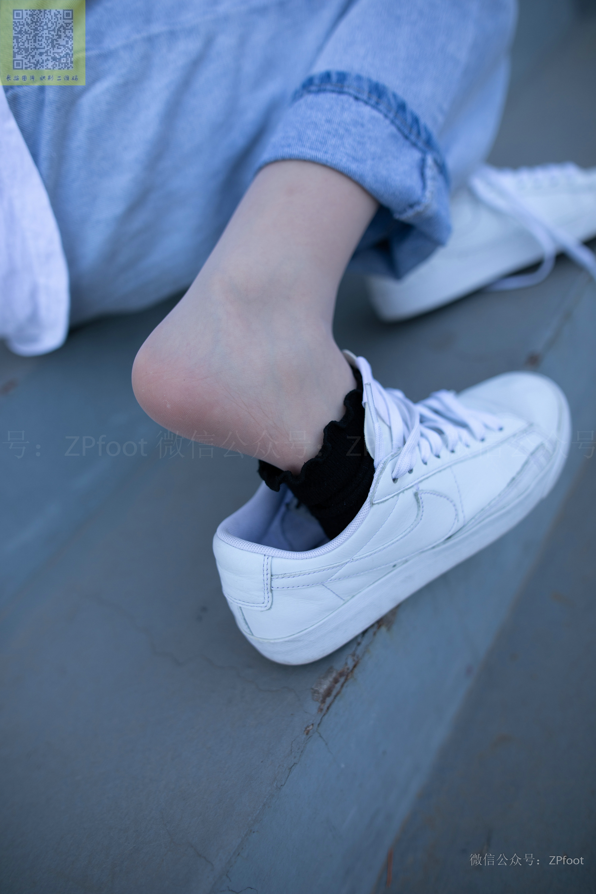 ISS山茶摄影 024 鑫鑫库里丝